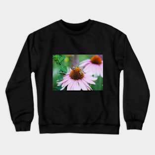 Echinacea Purpurea with Bees Crewneck Sweatshirt